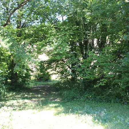 Holiday home Sainte Sabine En Dordogne Castels