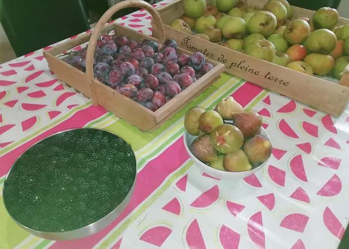 Sainte Sabine En Dordogne Tatil Evi *